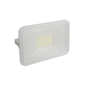 LED Kültéri reflektor LED/50W/220